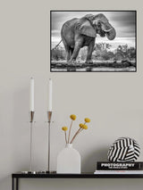 Standing Proud Poster och Canvastavla