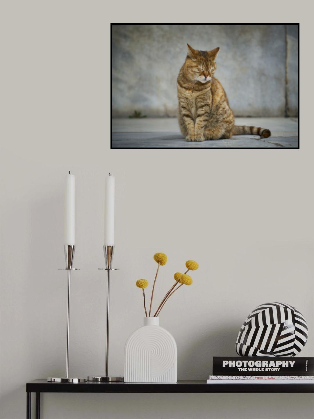 tabby cat Poster och Canvastavla