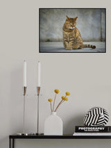 tabby cat Poster och Canvastavla