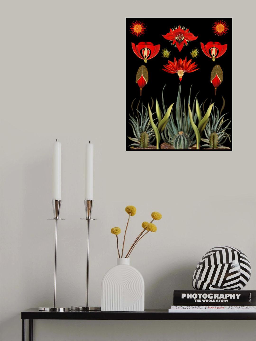 Cactus and Succulent Invention Poster och Canvastavla