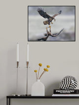Snatching Poster och Canvastavla