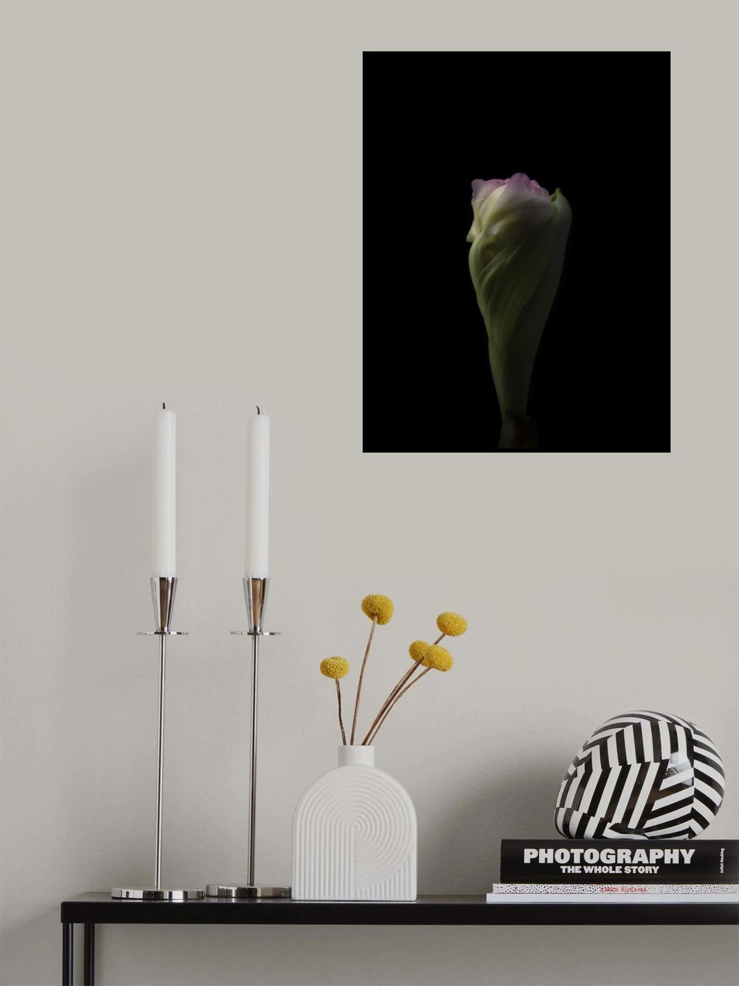 Unfolding Poster och Canvastavla