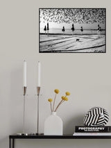 Birds in flight Poster och Canvastavla
