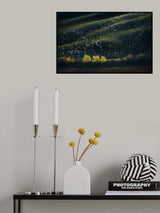 Accompanied by the morning light Poster och Canvastavla