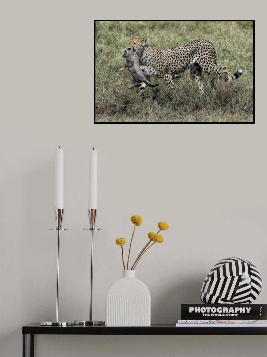 Poster och Canvastavla