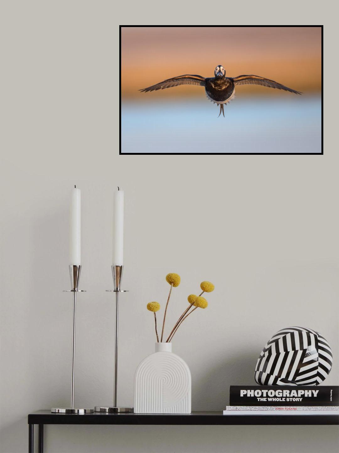 Final approach Poster och Canvastavla