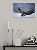 Landing Poster och Canvastavla