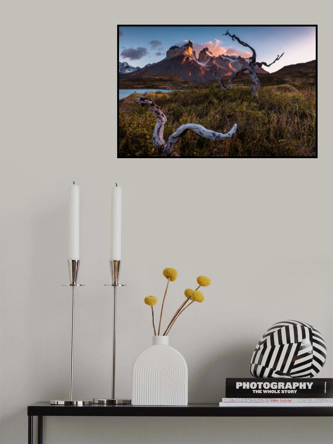 Dance under the Torres del Paine Poster och Canvastavla