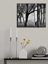 Poster och Canvastavla