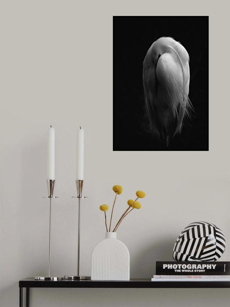 Resting Egret Poster och Canvastavla