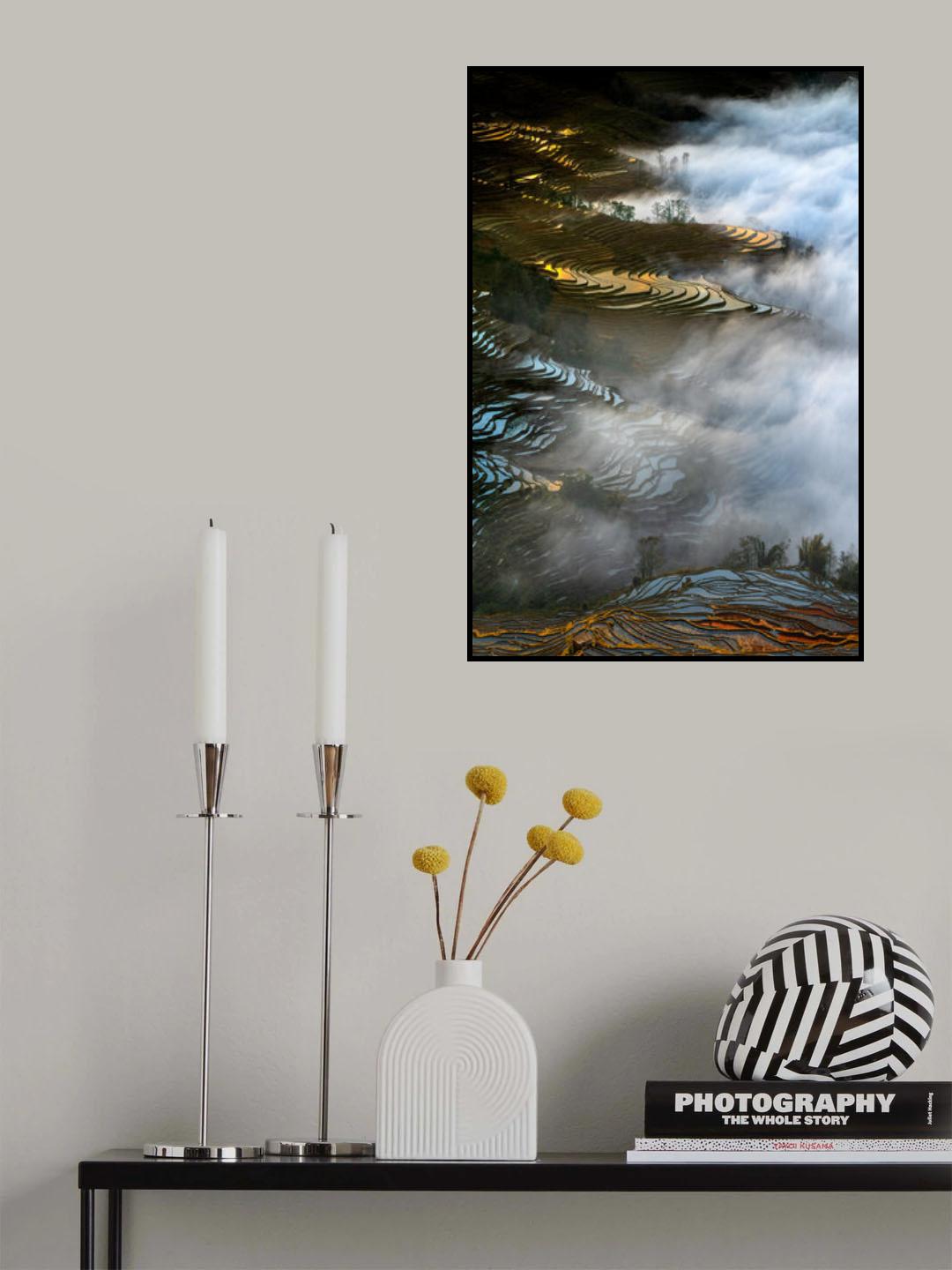 Colorful rice terraces Poster och Canvastavla