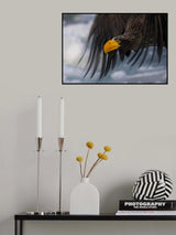 Soaring Poster och Canvastavla