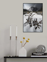 snow Poster och Canvastavla