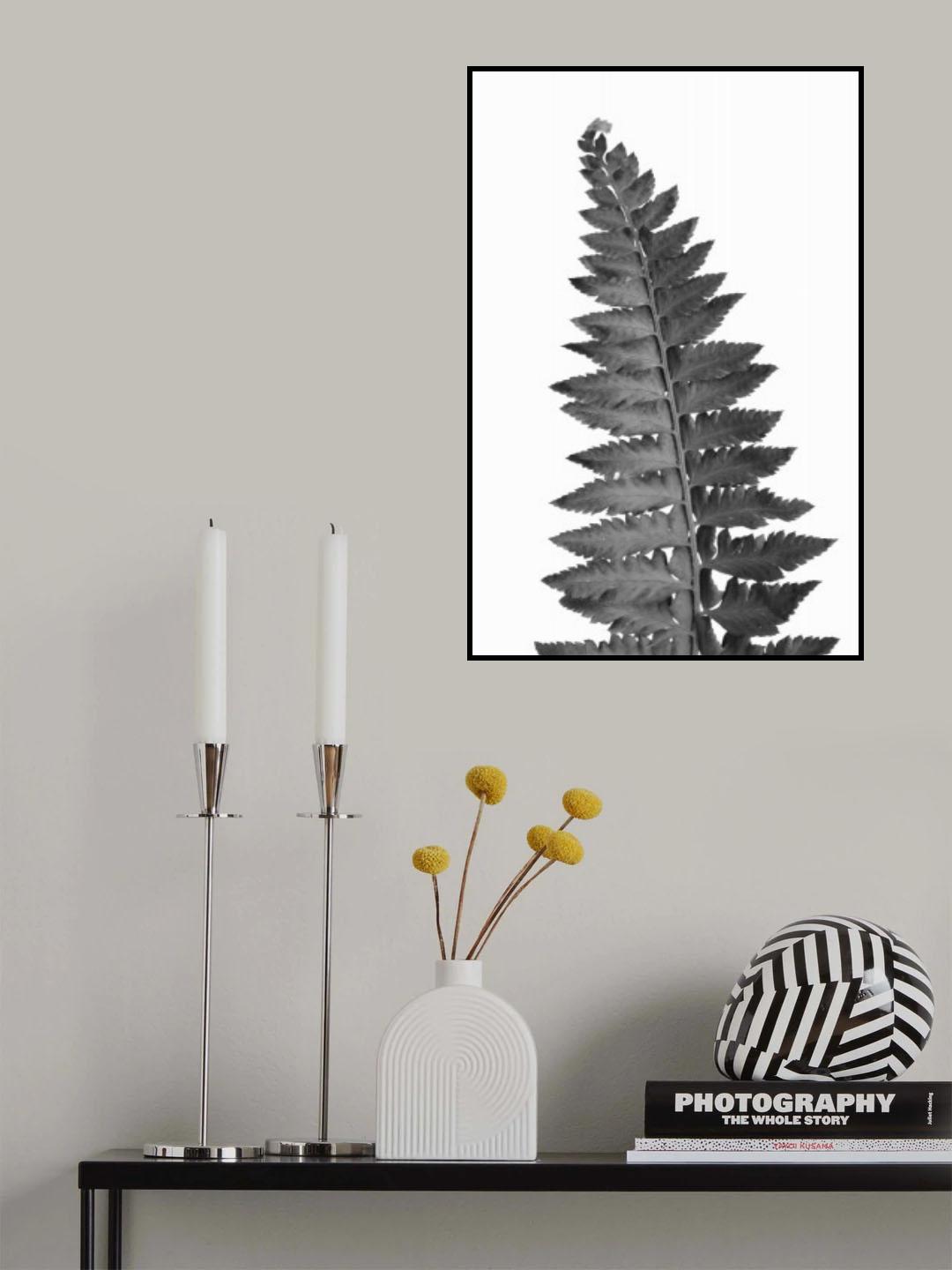Gray fern leaf Poster och Canvastavla