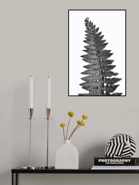 Gray fern leaf Poster och Canvastavla