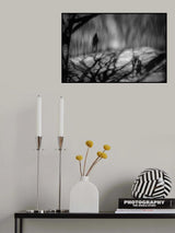 Poster och Canvastavla