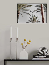 Palm_009 Poster och Canvastavla