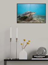 Living on seagrass Poster och Canvastavla
