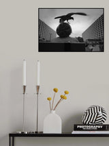 BIRD Poster och Canvastavla