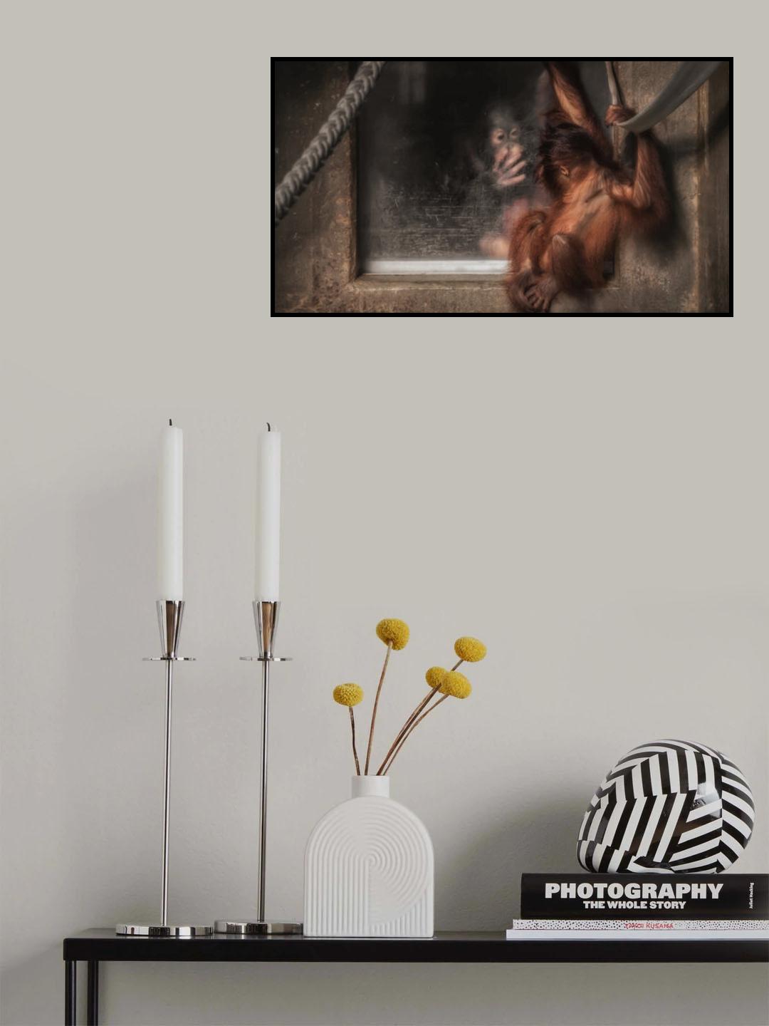 contact Poster och Canvastavla