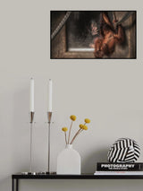 contact Poster och Canvastavla