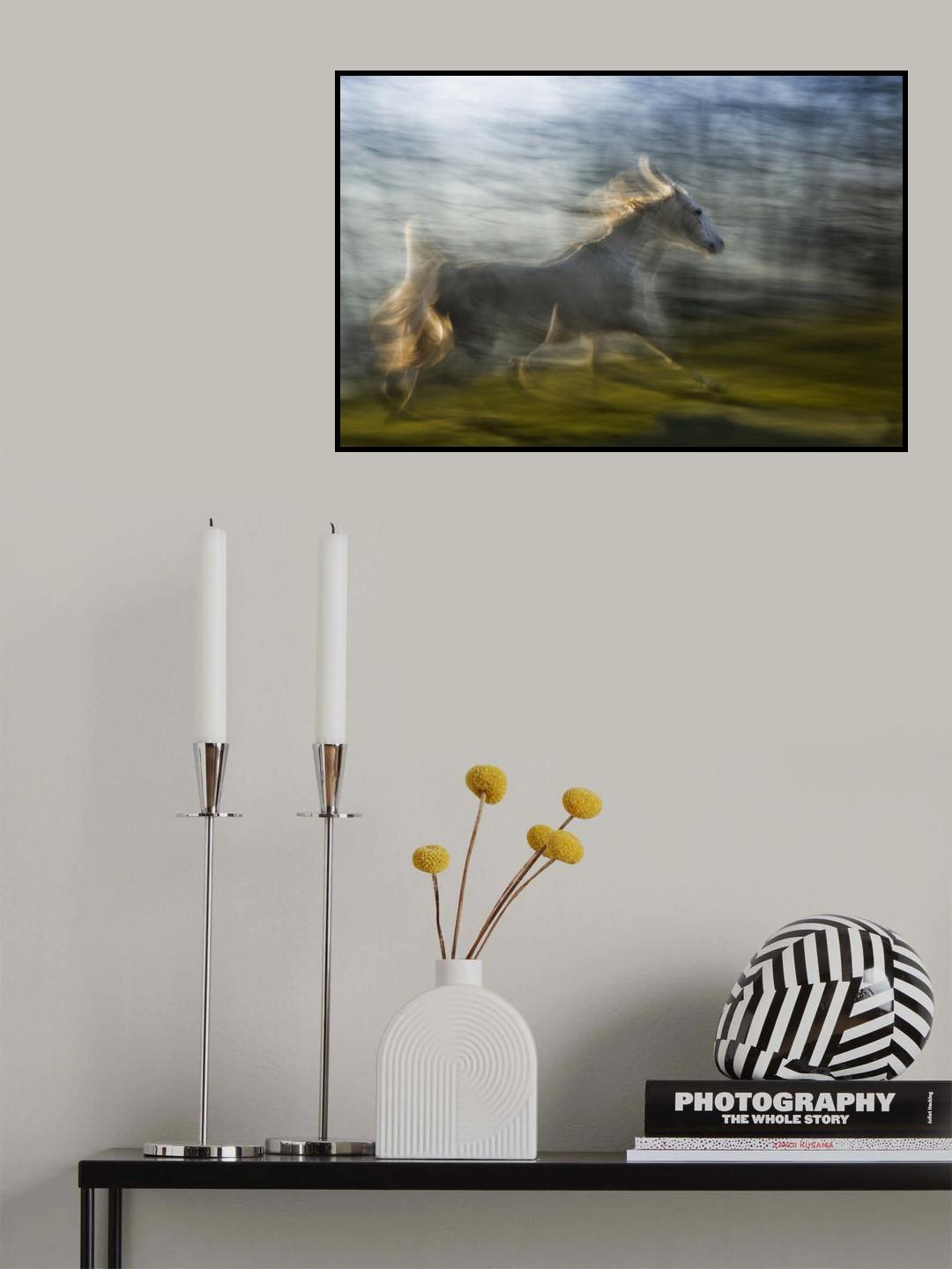 Narcis Poster och Canvastavla