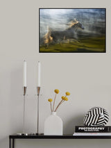 Narcis Poster och Canvastavla