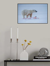 hunting in snow Poster och Canvastavla