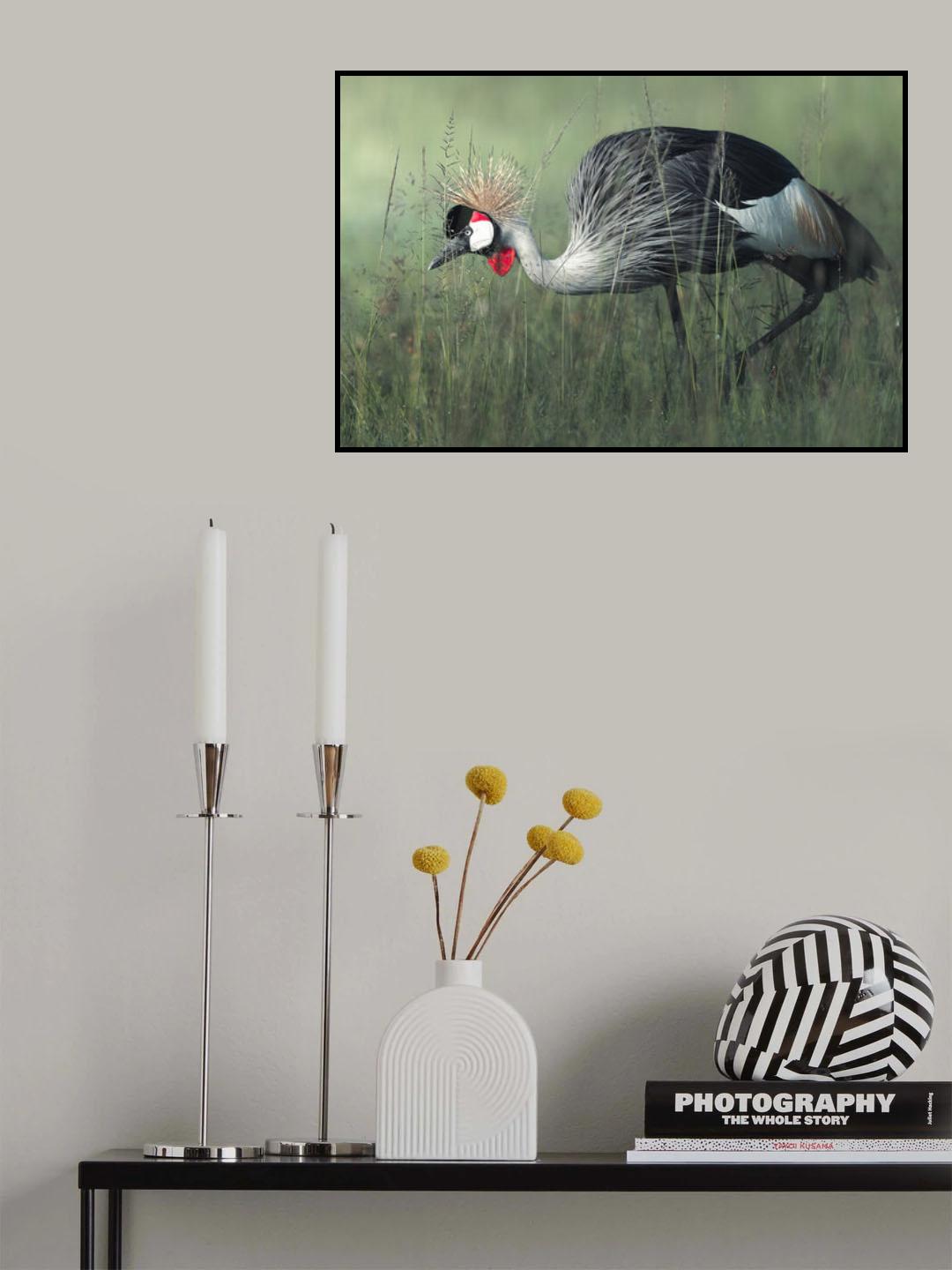 Poster och Canvastavla