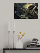 forgotten Poster och Canvastavla
