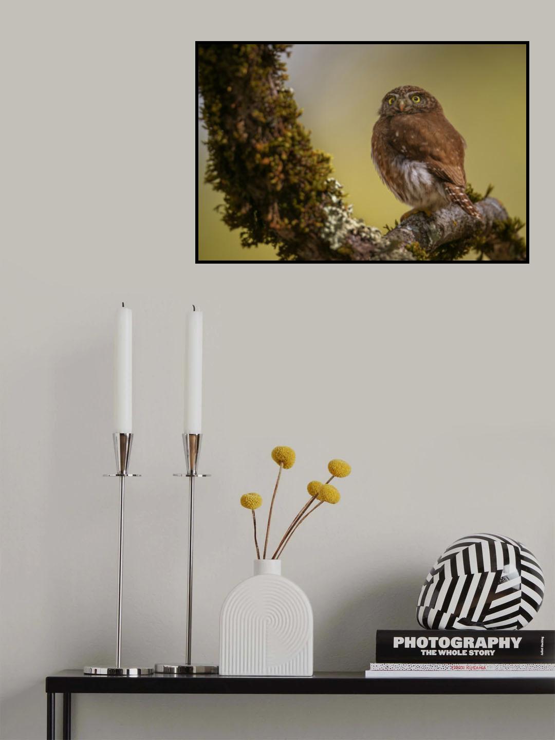 Shocked Poster och Canvastavla
