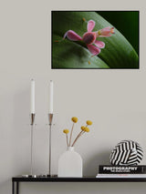 Flower power Poster och Canvastavla