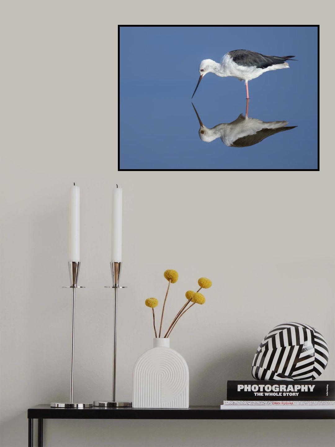 reflection Poster och Canvastavla
