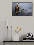 The Vulture Poster och Canvastavla