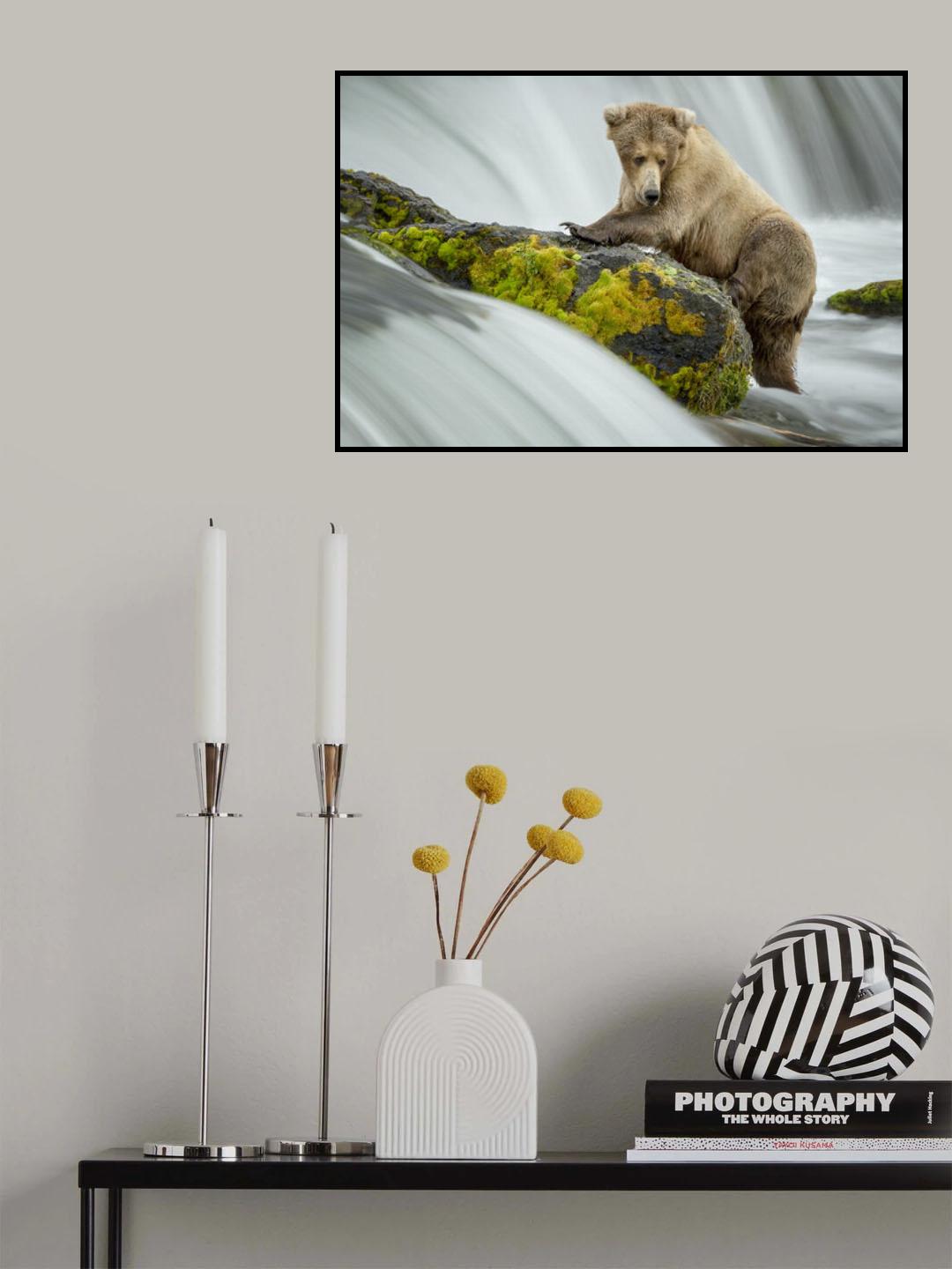 Left Wanting Poster och Canvastavla