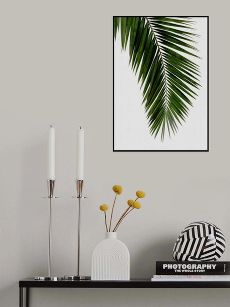 Palm Leaf I Poster och Canvastavla