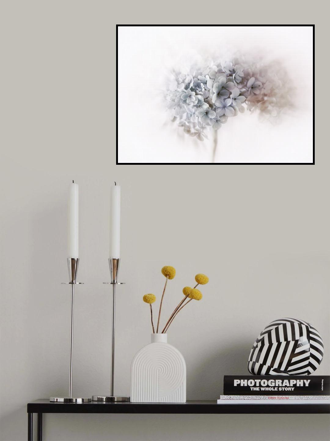 Hydrangea Poster och Canvastavla