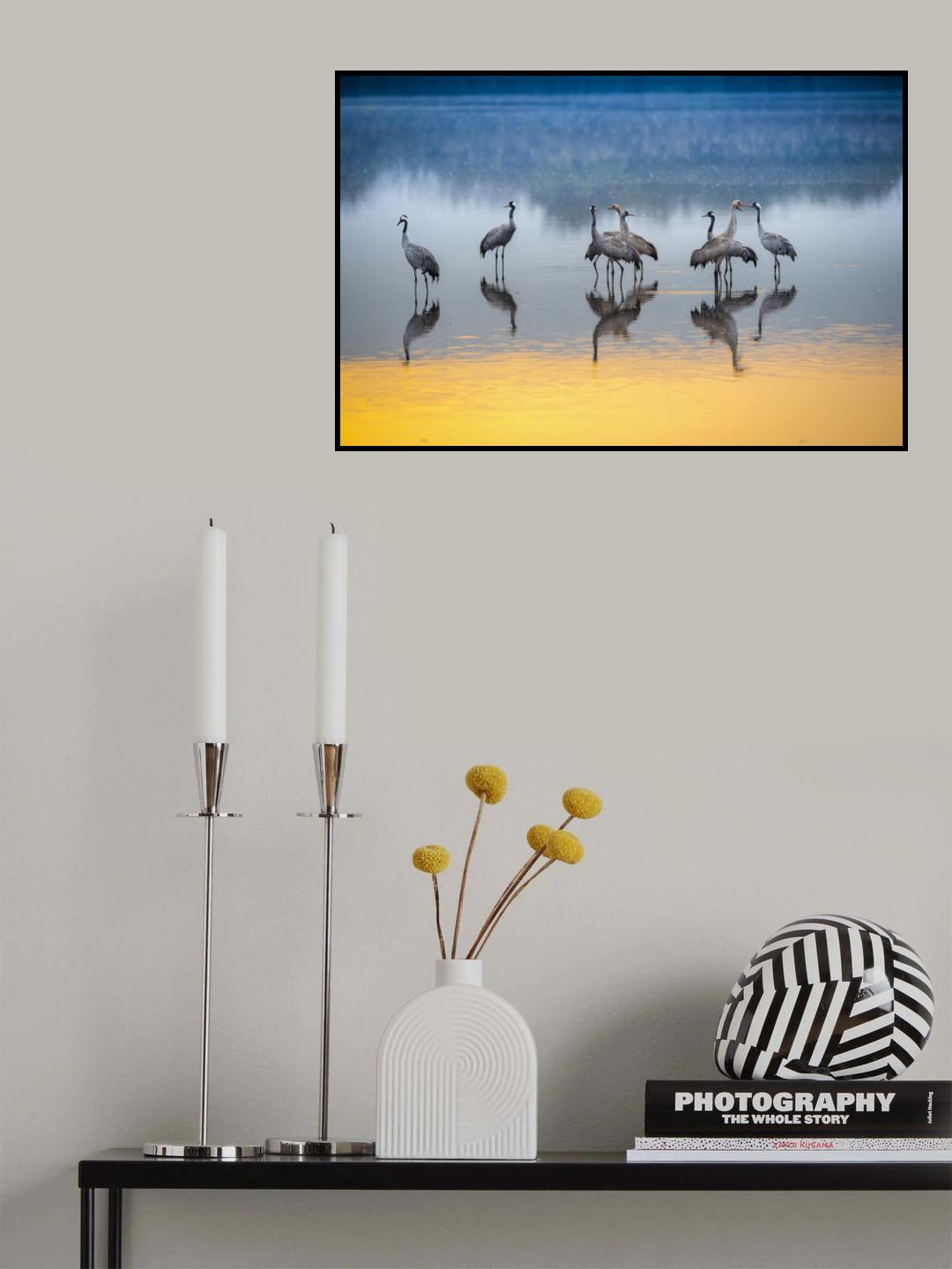 Poster och Canvastavla