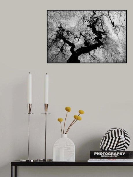 if on a winter's day Poster och Canvastavla