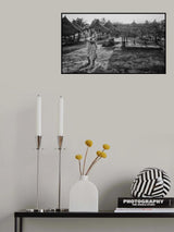 Togo 2 Poster och Canvastavla