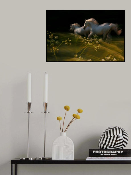 Duel Poster och Canvastavla