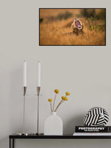 Hungry Poster och Canvastavla