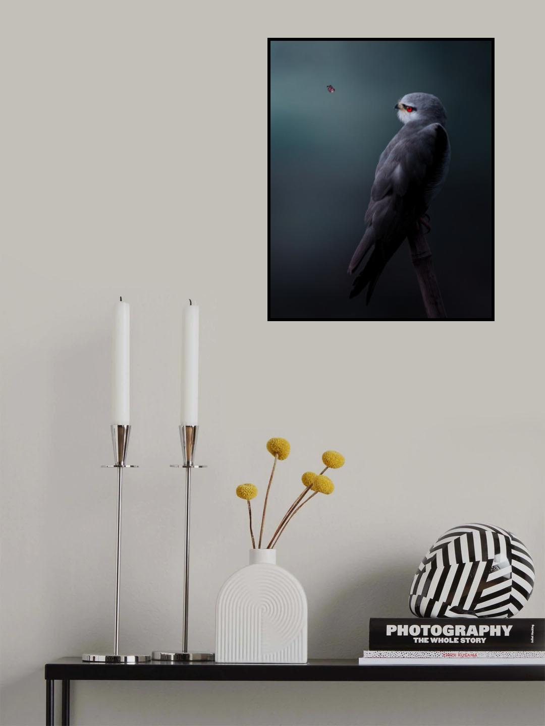 Eye Contact Poster och Canvastavla