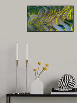 Terraced Fields Poster och Canvastavla