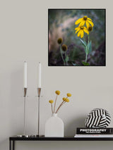 The end of a flower Poster och Canvastavla
