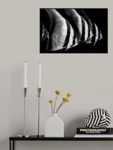 Batfish Poster och Canvastavla