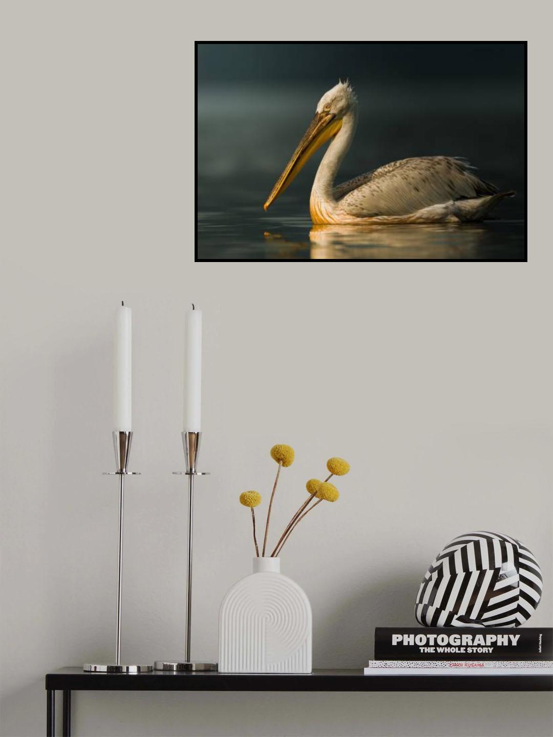 𝗗𝗮𝗹𝗺𝗮𝘁𝗶𝗮𝗻 𝗣𝗲𝗹𝗶𝗰𝗮𝗻 Poster och Canvastavla
