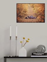 Autumn dream Poster och Canvastavla