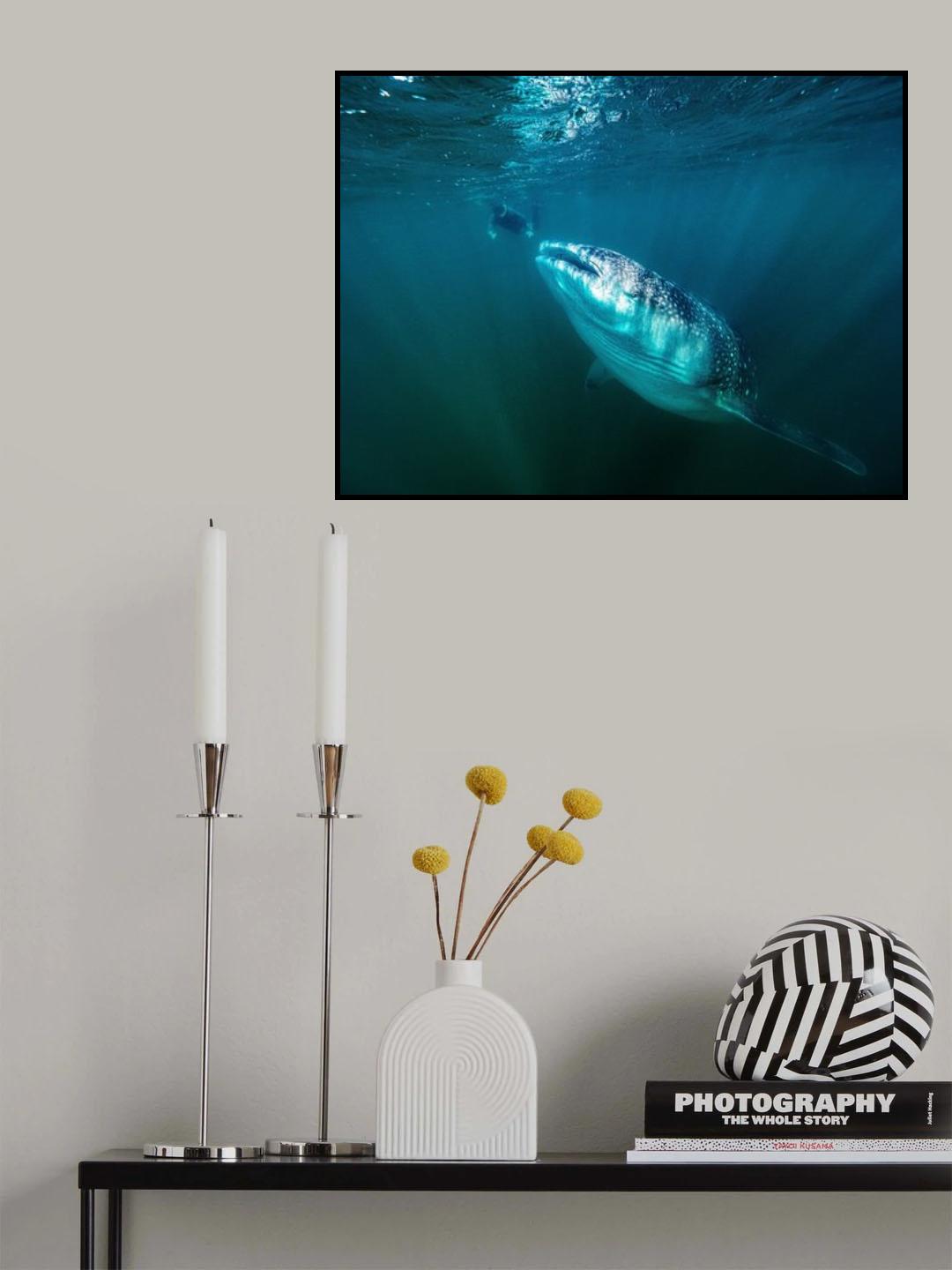 The encounter Poster och Canvastavla