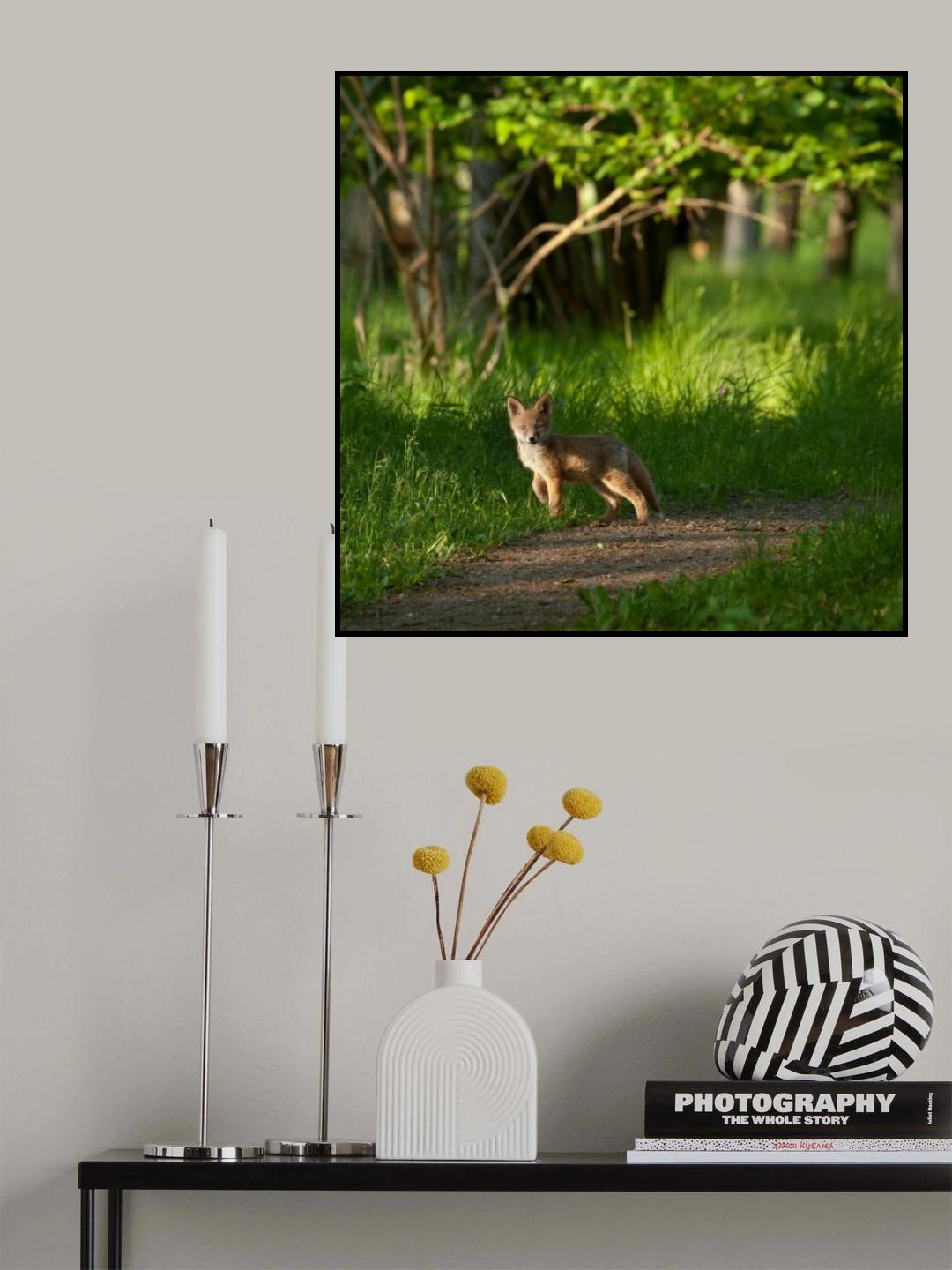 Fox kid in the woods Poster och Canvastavla
